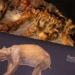 terrifying discovery of a monster with a bag weighing nearly 3 tons 131441