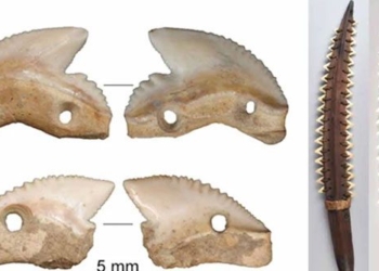 the appearance of a 7 000 year old unique artifact and human deaths in indonesia 130688
