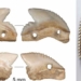 the appearance of a 7 000 year old unique artifact and human deaths in indonesia 130688