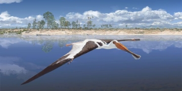 the appearance of monsters flying never before seen with a double length of 130000