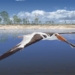 the appearance of monsters flying never before seen with a double length of 130000