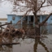 the areas that cannot be revived due to disasters threatening the world and how to save the unique 130930