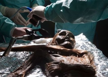 the cadavers in the world formed by nature 129131