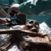 the cadavers in the world formed by nature 129131