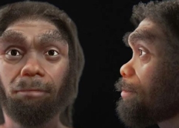 the closest portrait of the bigfoot 131352