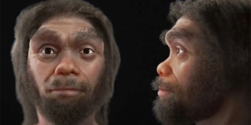 the closest portrait of the bigfoot 131352