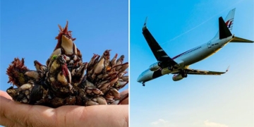 the creature that sank hua hen decoding the largest mystery in aviation history where 239 people vanished without a trace 129450