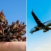 the creature that sank hua hen decoding the largest mystery in aviation history where 239 people vanished without a trace 129450