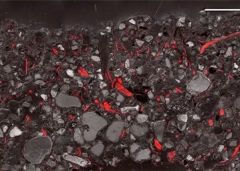 the earths skin is threatened by climate change 129218