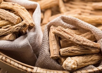 the effects of ginseng the herb is considered the ginseng of the poor 131039