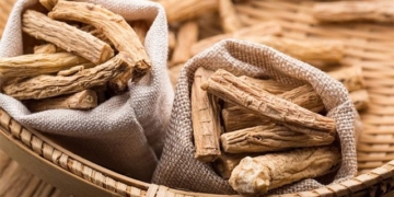 the effects of ginseng the herb is considered the ginseng of the poor 131039