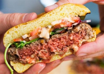 the first country in the world to ban artificial meat 131267