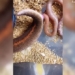 the frog in the mothers room makes viewers dizzy 131384