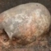 the general houses in ottoman turkey have surgical scars from 300 years ago 131302