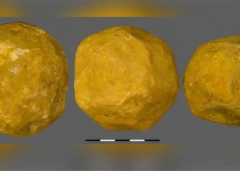 the history of the shift of 150 artifacts from the human garden 1 4 million years old 129871