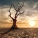 the incident causing the greatest global disaster on earth 129621