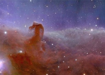 the irresistible charm of the beauty of the horse head in the new appearance 130972