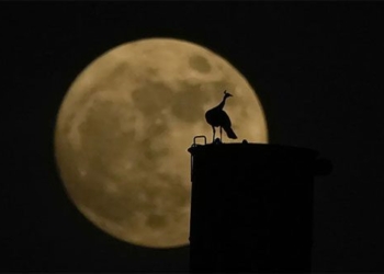 the largest bright blue supermoon of 2023 stunning impression on skies around the world 129551