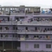 the largest family in the world with 199 people living under one roof 131231