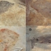 the meaning of the most mysterious grave in 44 missing tombstones 131429