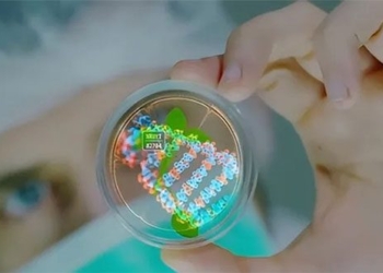 the memory can be inherited this experiment has proven evolutionary theory may not be correct 129639