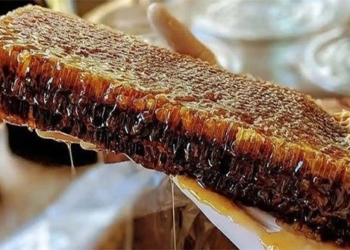 the most expensive honey in the world is called the honey of the gods 130034