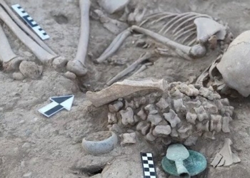 the mystery of the girl chosen to marry 150 animal skeletons 130665