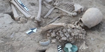 the mystery of the girl chosen to marry 150 animal skeletons 130665