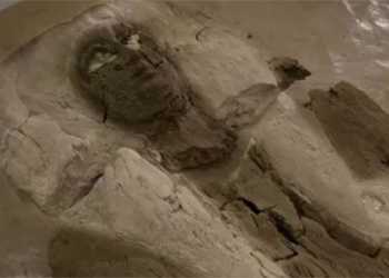the mystery of the mummified woman misidentified as an egyptian pharaoh 129359