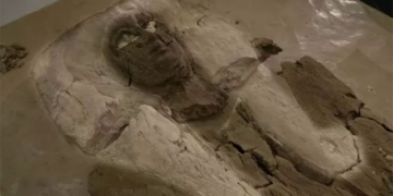 the mystery of the mummified woman misidentified as an egyptian pharaoh 129359