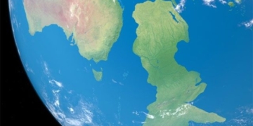 the origin of the 8th plate subduction new zealand 129996
