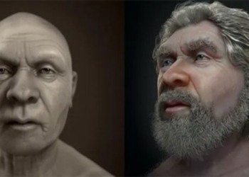 the portrait of a neanderthal man 47 000 years ago 130884