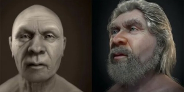 the portrait of a neanderthal man 47 000 years ago 130884