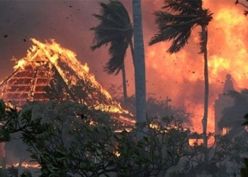 the risks facing hawaii residents after the fire 129243