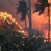 the risks facing hawaii residents after the fire 129243