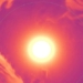 the secret of the rumbling forest about the planet wood below like holy 129580