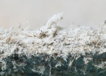 the tragedy of amiang substance causing stage four cancer can be seen inside your home 130988