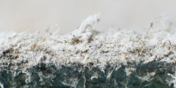 the tragedy of amiang substance causing stage four cancer can be seen inside your home 130988