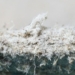 the tragedy of amiang substance causing stage four cancer can be seen inside your home 130988