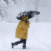 the urgent warning about the vanishing ice 131382