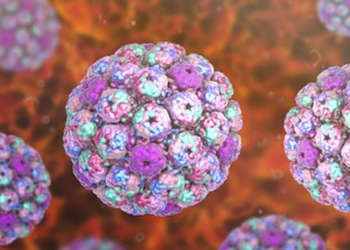 the virus transformation causing dangerous symptoms in hcmc how dangerous is it 129880