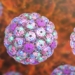 the virus transformation causing dangerous symptoms in hcmc how dangerous is it 129880