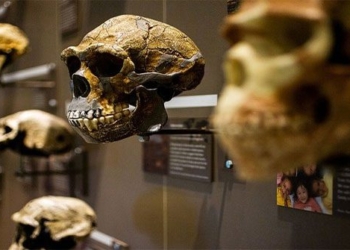 theory of evolution by darwin proposes it is really worth believing 130145