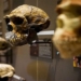 theory of evolution by darwin proposes it is really worth believing 130145