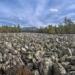 there is a strange river in russia without water but still hears the sound of water flowing year round 129283