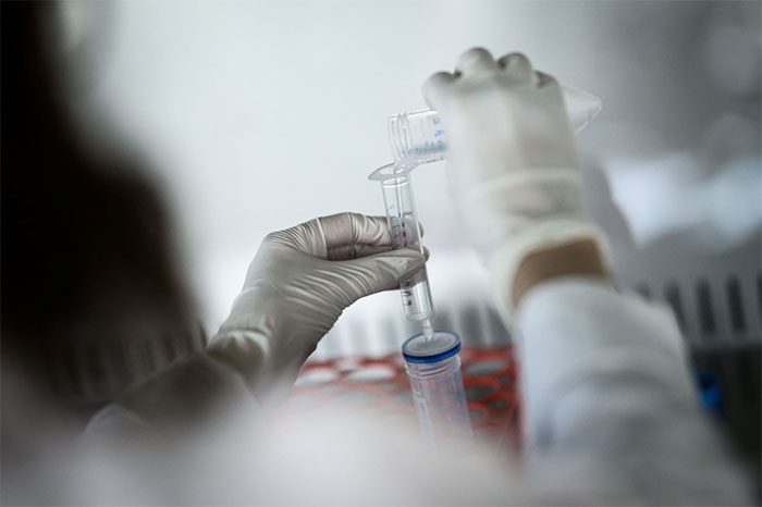 Cancer cells divide faster than normal cells