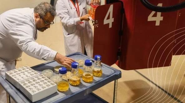 Scientists conducting an experiment with fungi