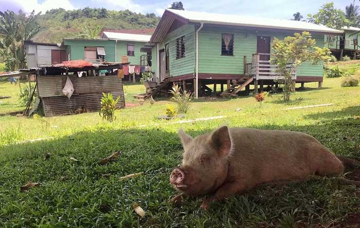 Vunidogoloa town in Fiji.