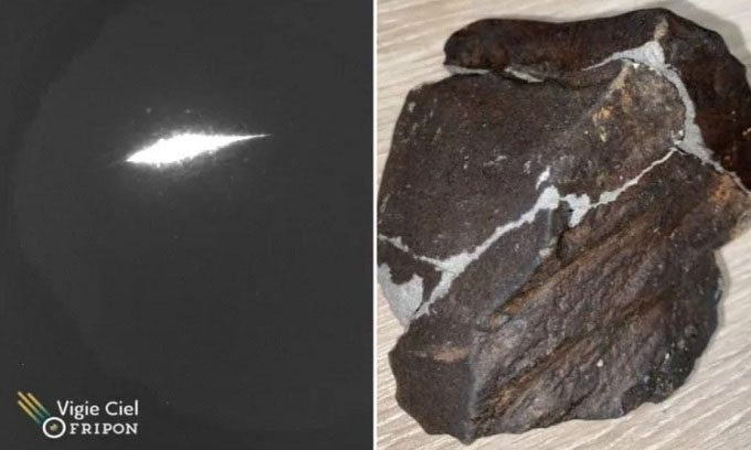 A piece of meteorite found in the garden of an anonymous woman.