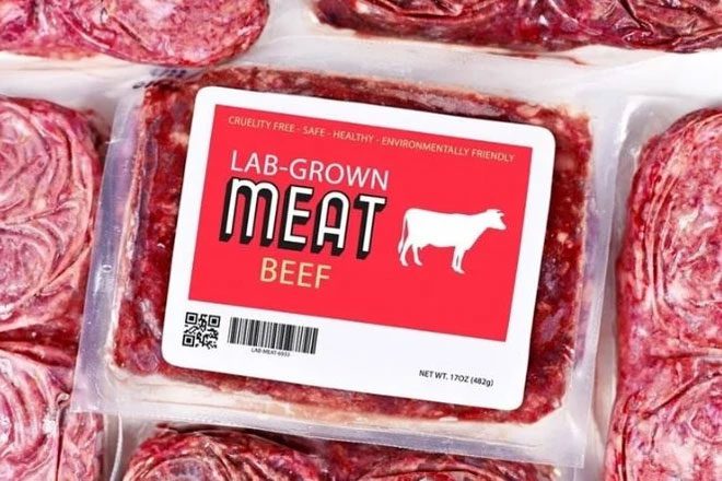 Lab-grown meat companies are working to scale up production.